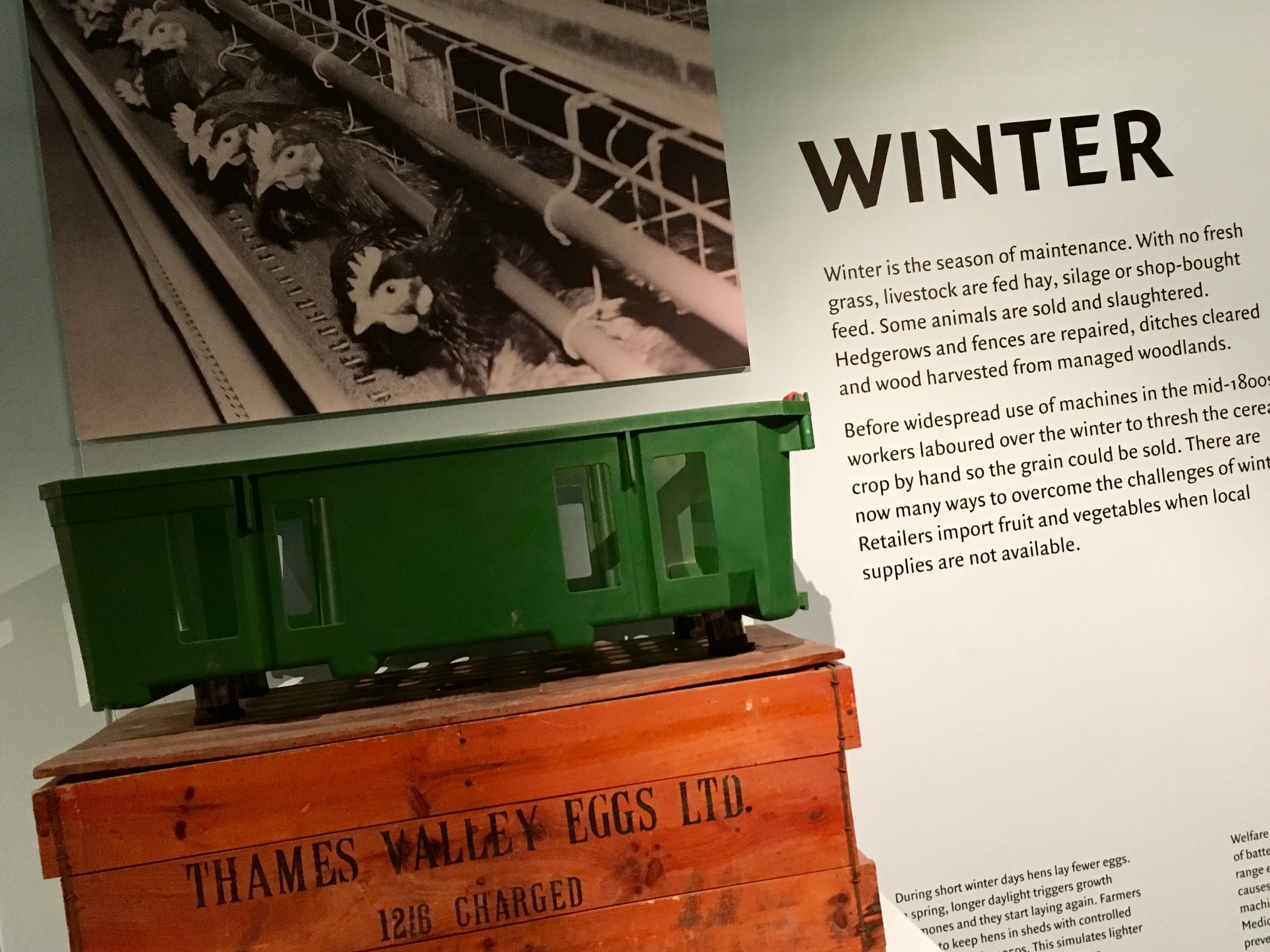 Image showing two egg crates underneath a photograph of some chickens in a barn.