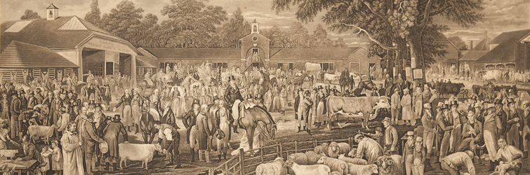 A scene of Woburn sheep shearing fair, with many animals and people milling about.
