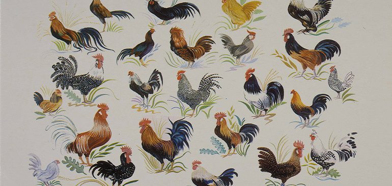 Brightly coloured poultry print