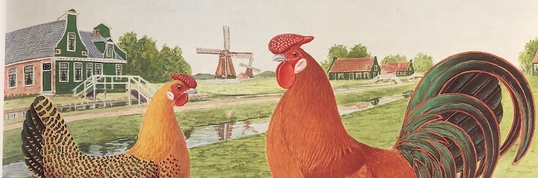 Colour illustration of two chickens in front of a canal and windmill