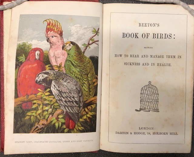 Image of the frontispiece and title page of Beeton's Book of Birds