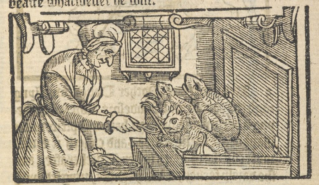An illustration from a witchcraft pamphlet. The image shows an elderly woman wearing a bonnet and late medieval style of dress. She has a hooked nose, and is holding a spoon in her right hand and a bowl in her left. With the spoon she is feeding three creatures, two resembling toads and one a cat, which are sat in front of her on a bench.