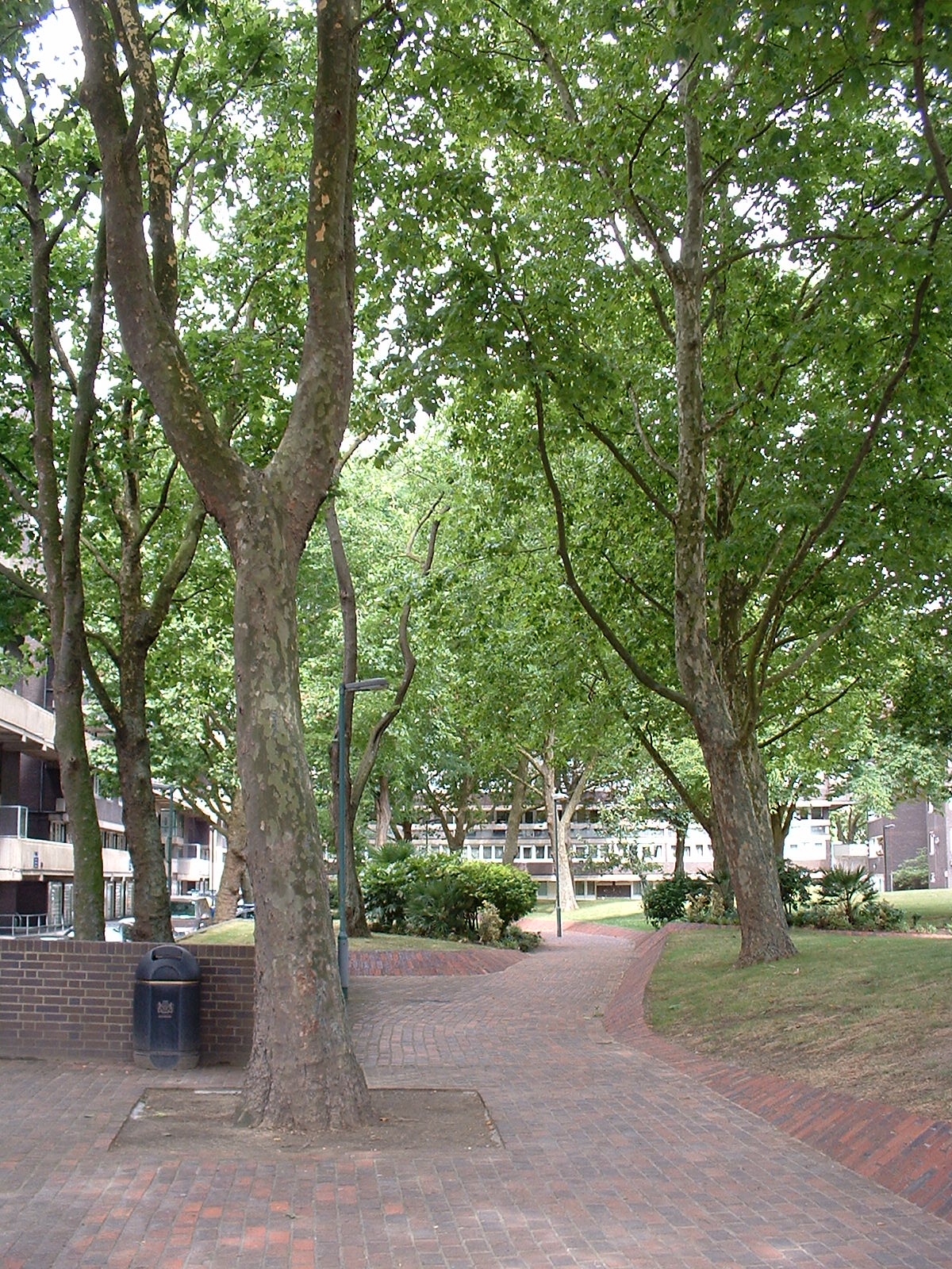 Large trees and blocks of flats around the main entrance to the Brunel Estate, in 2017