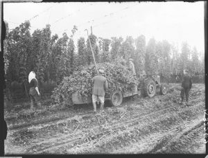 workers picking hops in a field. Get out into the countryside blog