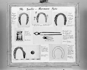display of horseshoes from the Harold Mair collection