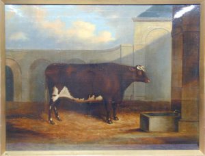 Painting of an ox in the Royal Smithfield Club collection