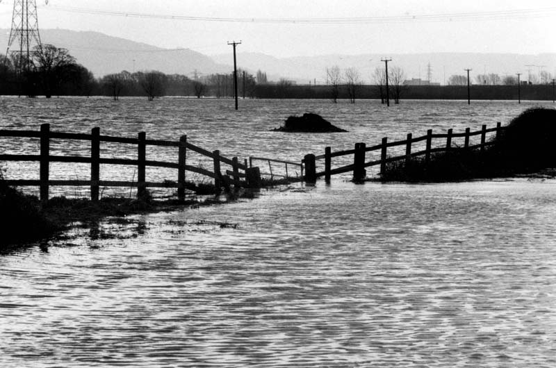 A black and white photograph of a flooded field, with a fence running through the water.