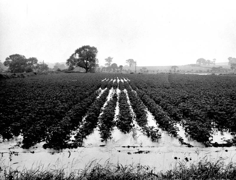 A black and white photograph of a waterlogged field.