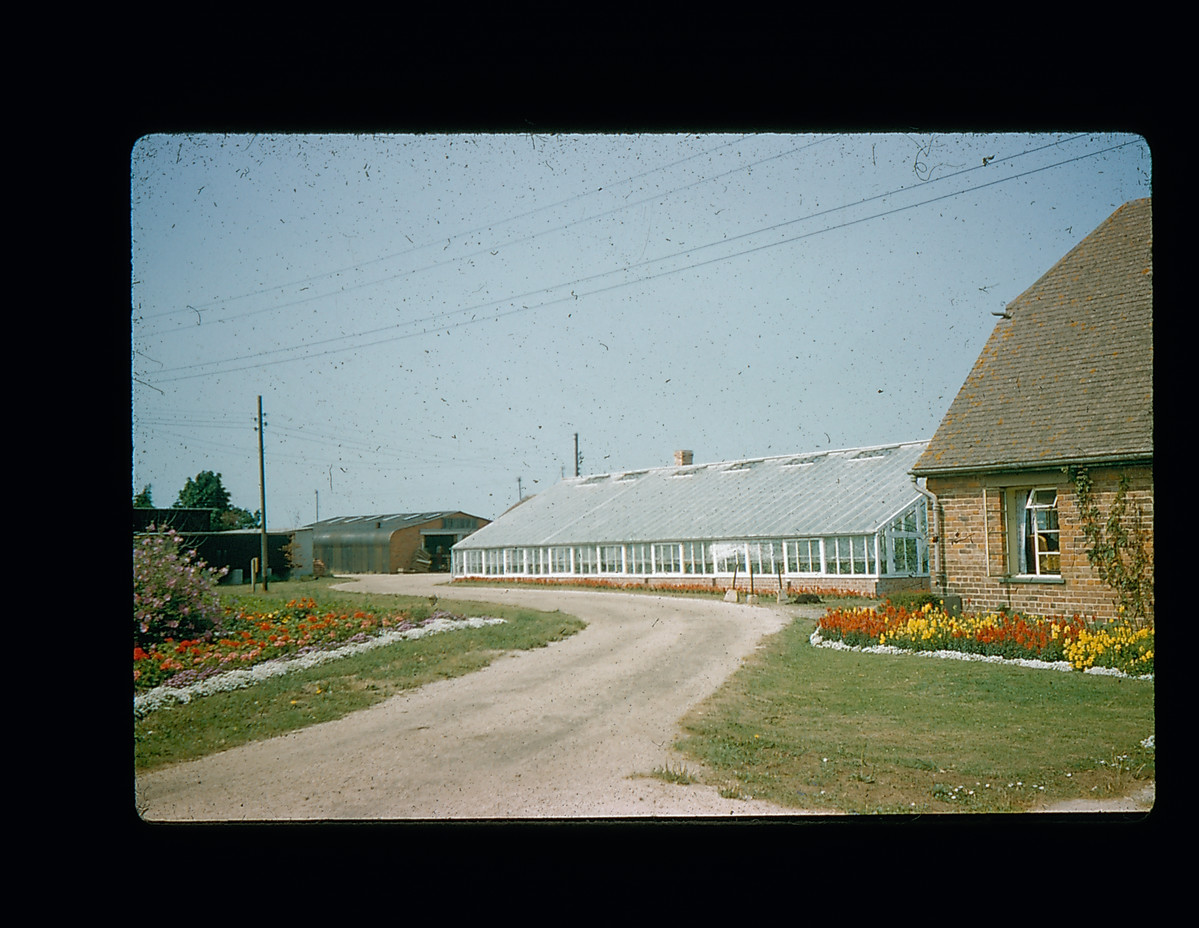 The exterior of a large greenhouse attached to a brick building, behind a curving driveway