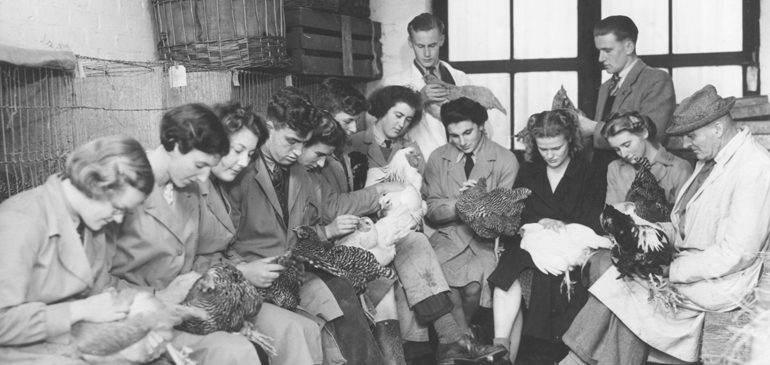 Black and white photo of women holding chickens