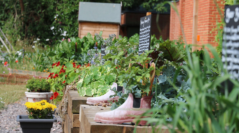 plants planted in boots on the raised beds in the