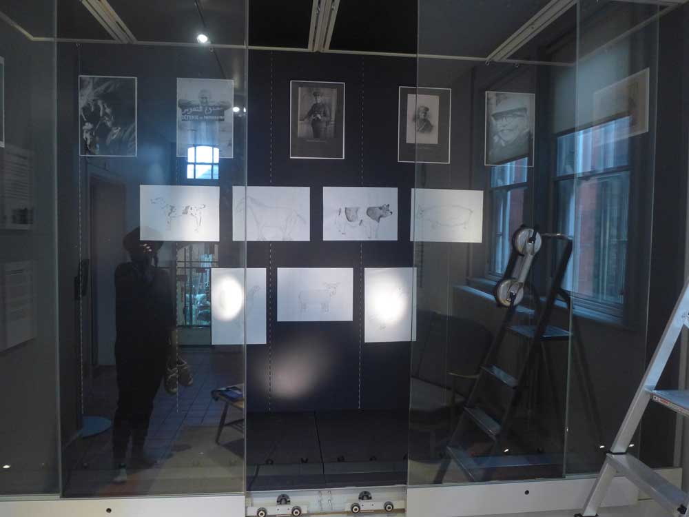 Archive pictures and student's own artwork mounted on a black wall in a glass case