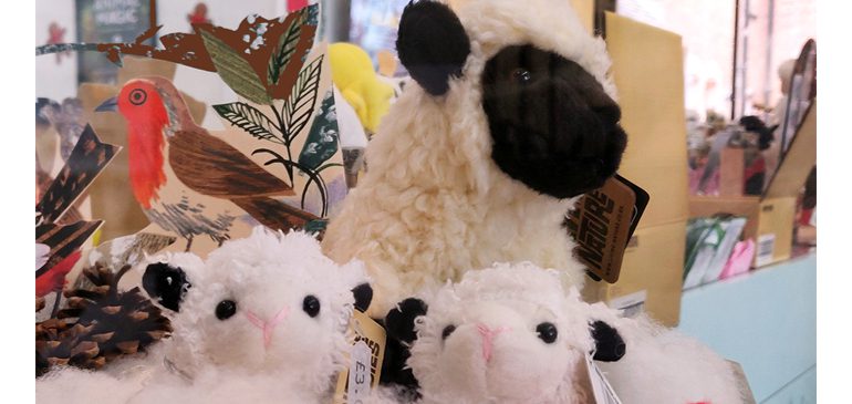 Cuddly lambs and christmas lights in the MERL shop