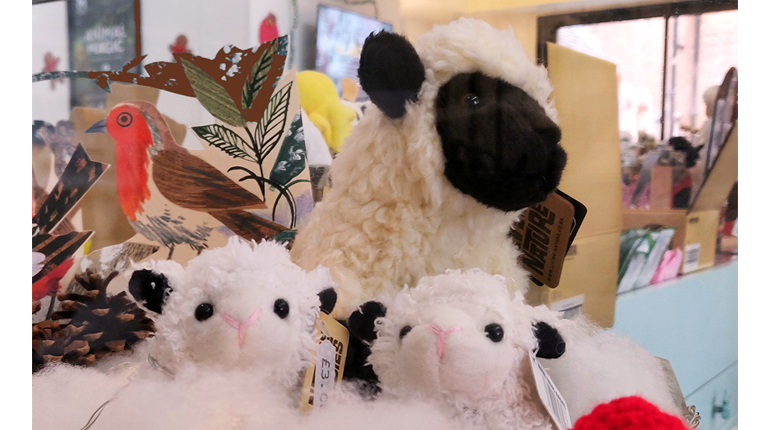 Cuddly lambs and christmas lights in the MERL shop