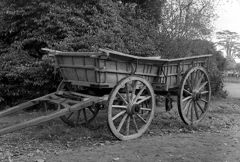 Sussex Box Wagon