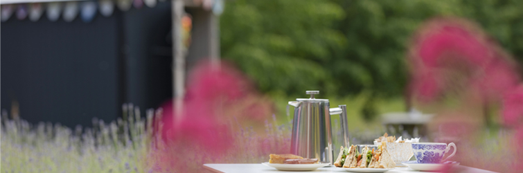 Featured image for the reopening of The MERL café, shop, garden and reading room.