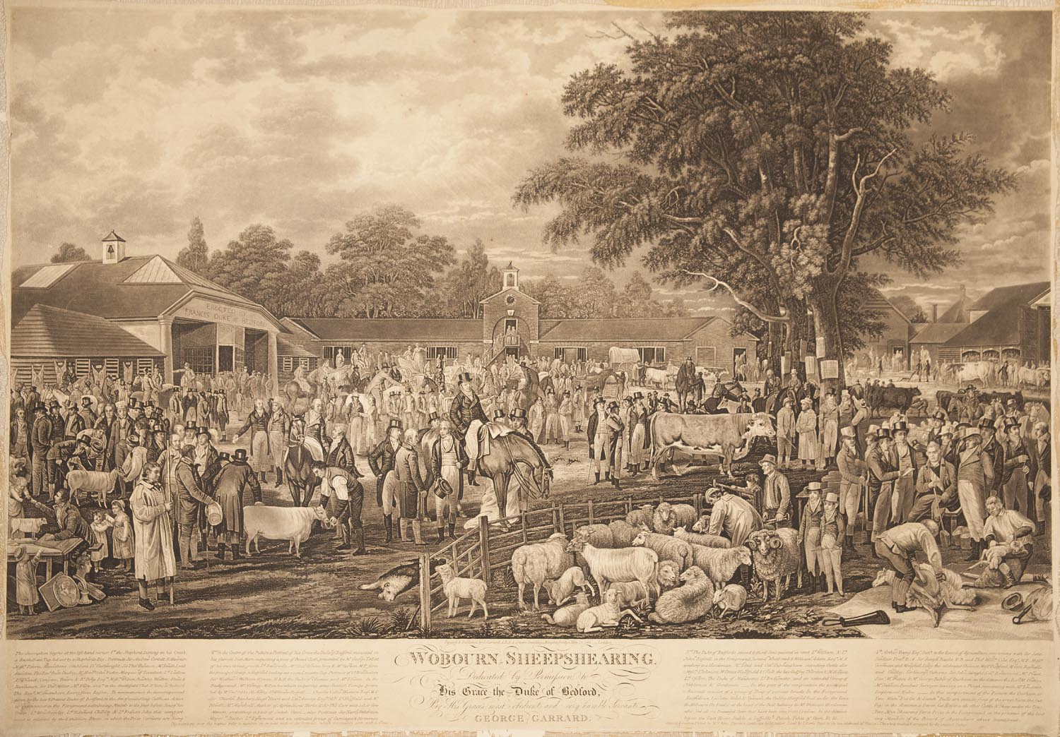 A black on cream print fromm an engraving, showing a busy scene of farming figures and animals in an early-19th-century agricultural context. 