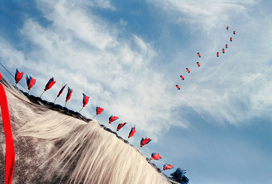 The curve of a horse's neck with decorated mane runs across the bottom-left-hand corner of the image and parachutes cross the sky above