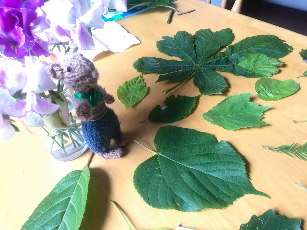 Little Mouse standing on a table surrounded by different types of leaves