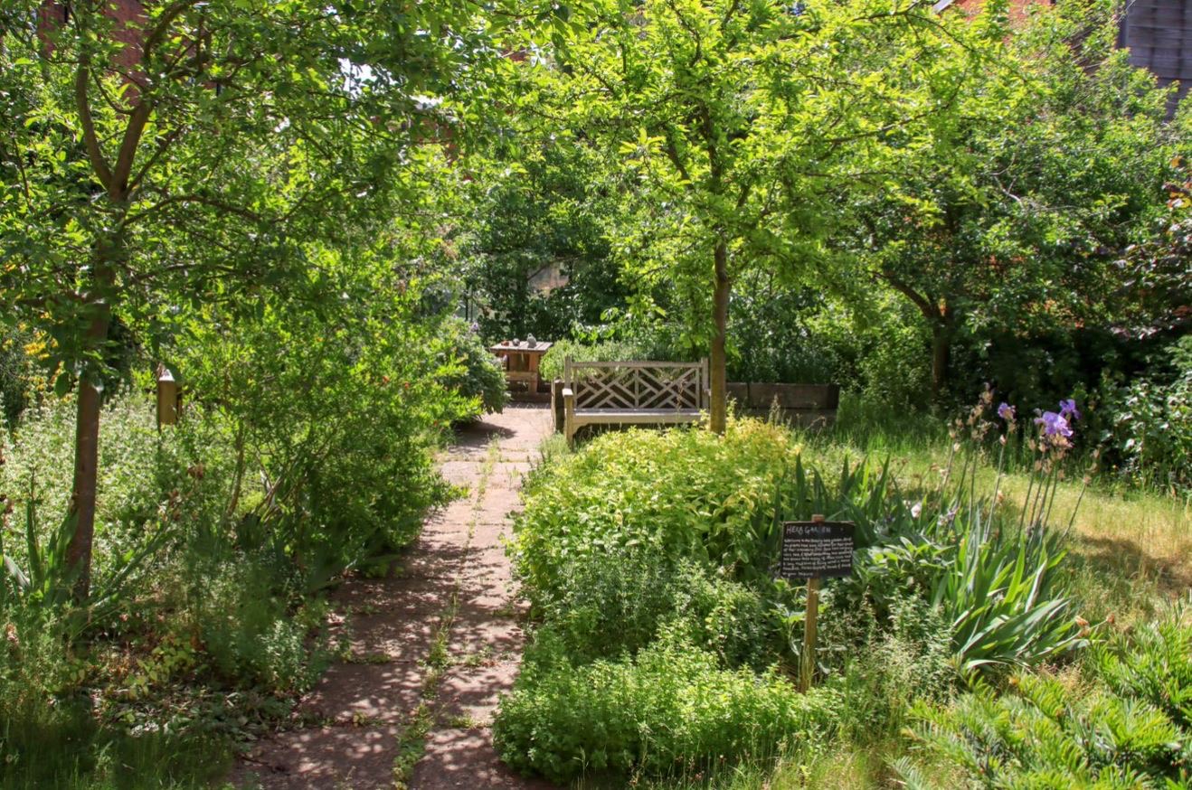 Herb garden at the MERL during lockdown