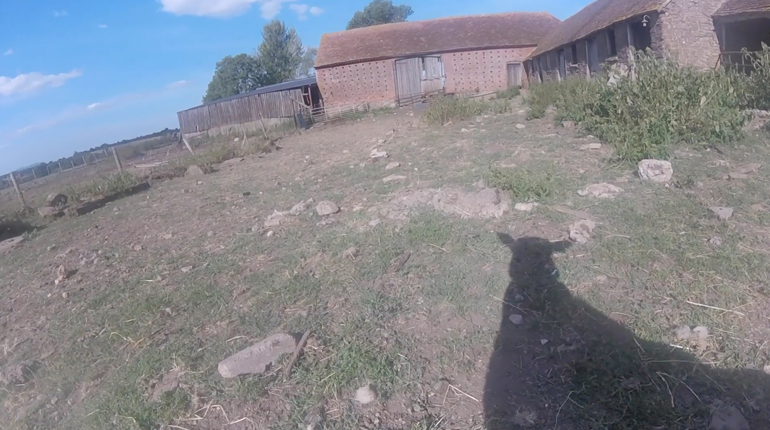 A screenshot of a shadow of a sheep on a farm featured on the new film poem I, Sheep
