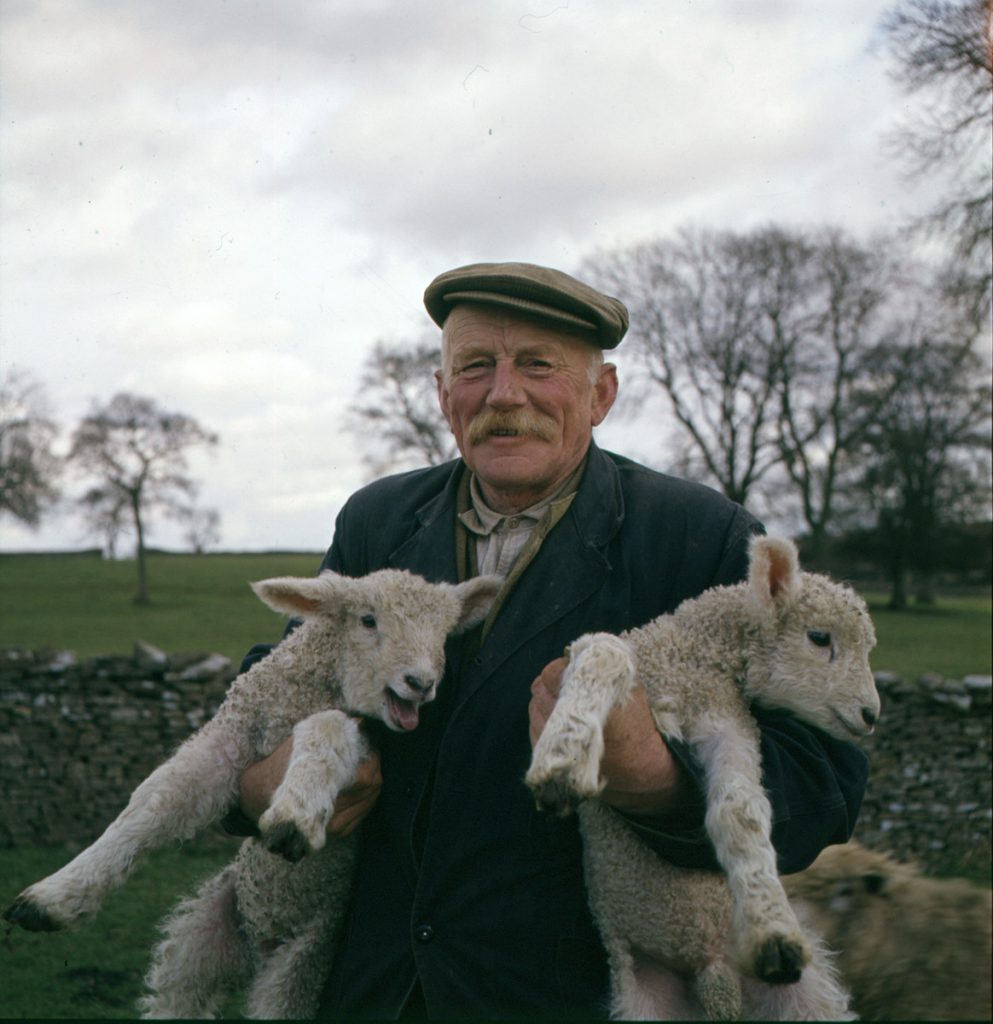A photograph of a shepherd holding two lambs.