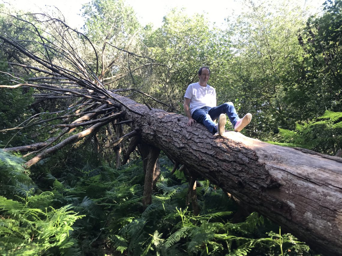 A man sits on the trunk of a fallen tree in a verdant wood