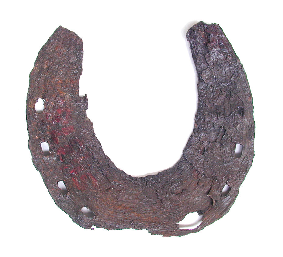 This horseshoe was dug up during drainage operations at Colville Hall in White Riding, Essex, and is of the type common in 1100-1550. The donor believed it to be an ox shoe but it is more likely to be that of a horse, as ox shoes tend to be made in two parts to allow for inter-movement of the two halves of the foot. Its small size suggests that it was probably worn by a riding horse rather than a farm horse.