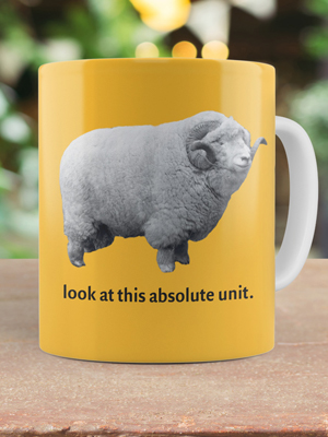 Absolute unit mug.
