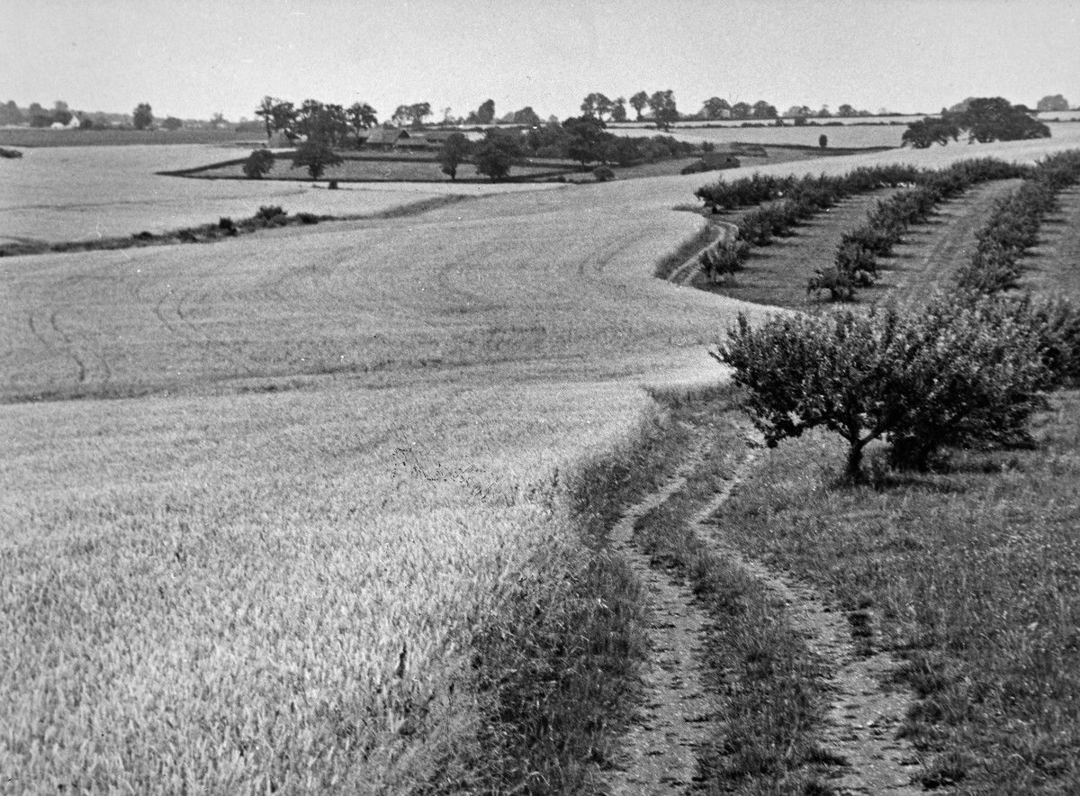 The gently rolling Suffolk countryside, P FW PH2/S90/2. Queer Rural Connections will challenge the persistent idea that 'the countryside is not a place for queer people'.