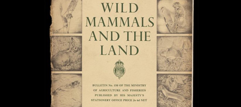 Cover of booklet entitled Wild Mammals and the Land, featuring small images of different animals around the edges