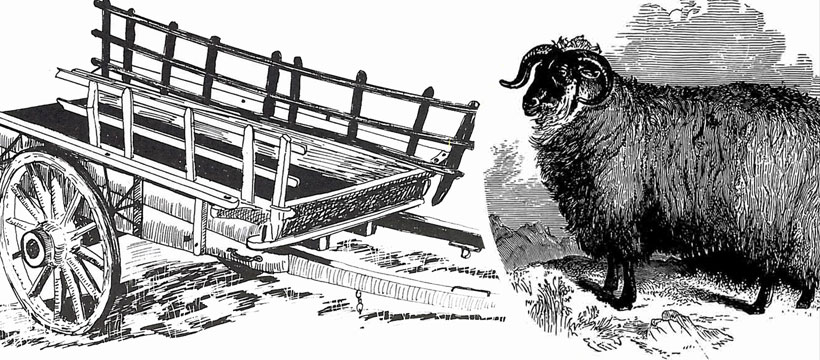 line drawing of a cart and a sheep from a book by John Vince available from the MERL online shop