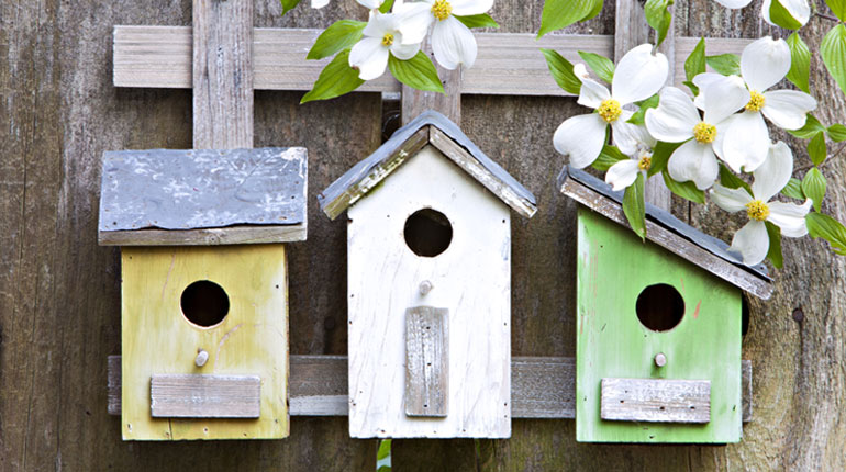 Three painted bird boxes hanging on a trellis with flowers for the Fledglings at home event