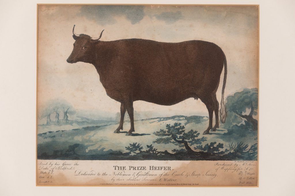 The print is of a red heifer in a pastoral setting. 