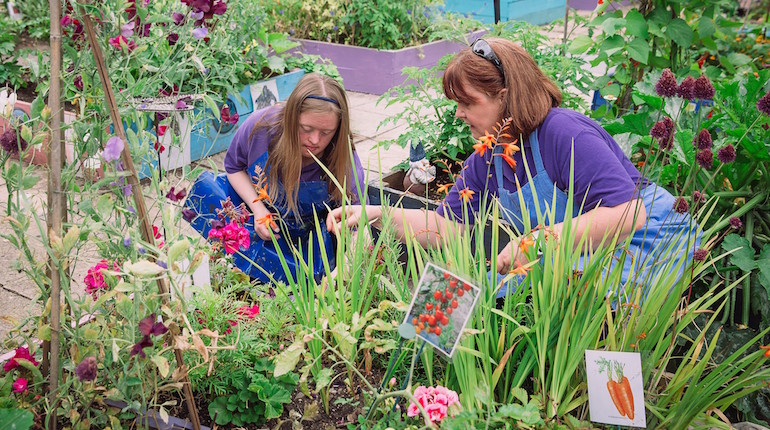 Two women gardening side by side