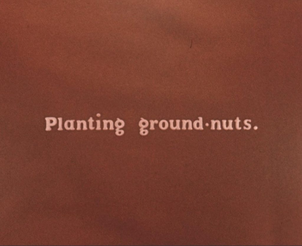 Still from film called 'The Groundnut Scheme at Kongwa' shwoing text that reads 'Planting ground-nuts'.