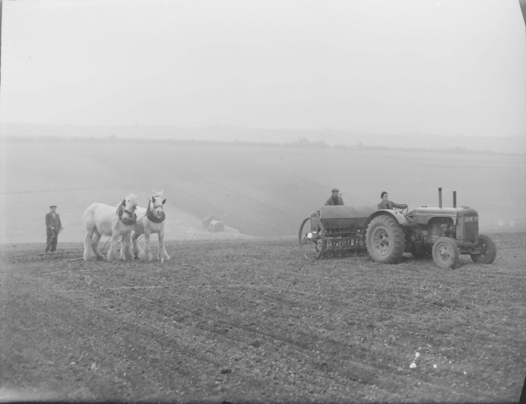 A black and white photograph of 2 white horses harrowing a field, and a nearby tractor drilling. Or, Horse Whisperers rout Tractor Whisperers on the field of battle.