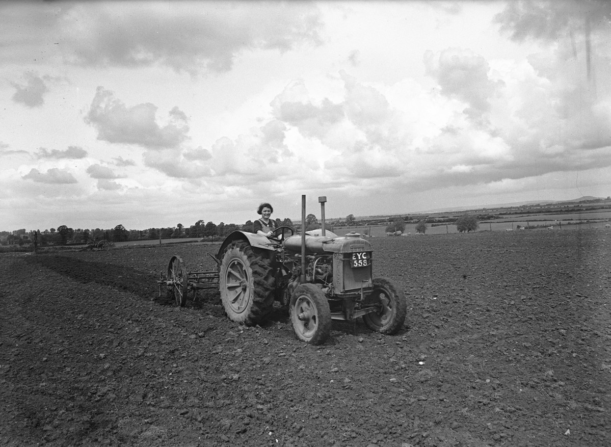 A black and white photograph of a Women's Land army member cultivating with Fordson tractor and rigid tine cultivator at Cannington Farm Institute, Somerset