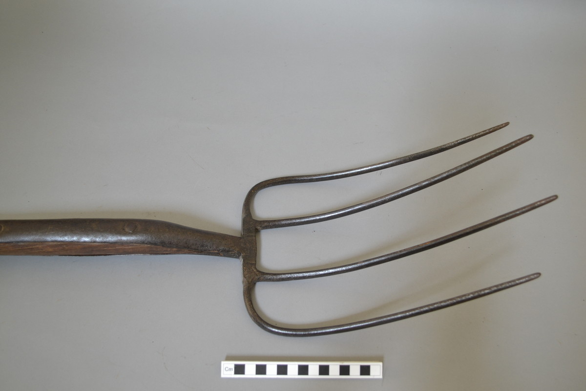 This dung fork, for spreading manure, was used at the Trial Grounds of Suttons Seeds Ltd., Reading. It consists of a metal head with four tines and a wooden handle, branded T.G. [Trial Grounds]. It is part of a large collection of objects relating to Suttons Seeds Ltd., as well as other rural artefacts, compiled by John Cox, who worked at Suttons from 1931 to 1976, starting as an office boy and finishing as Company Secretary.