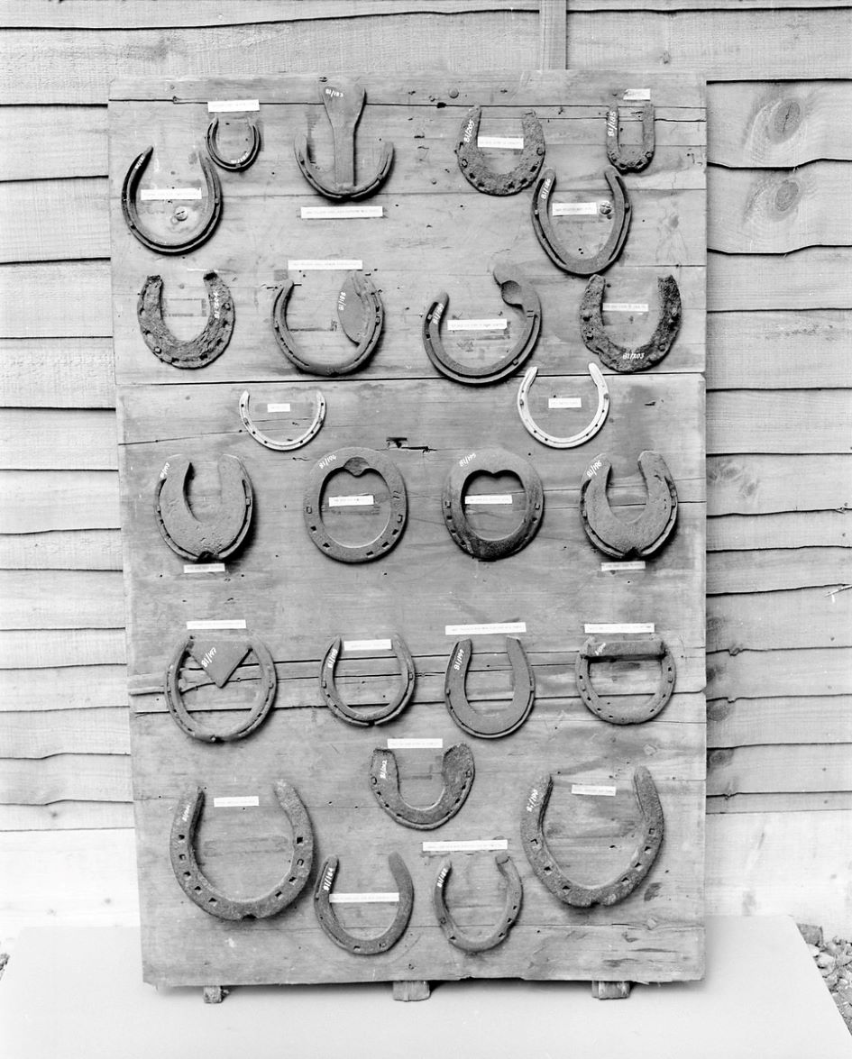 Horseshoes