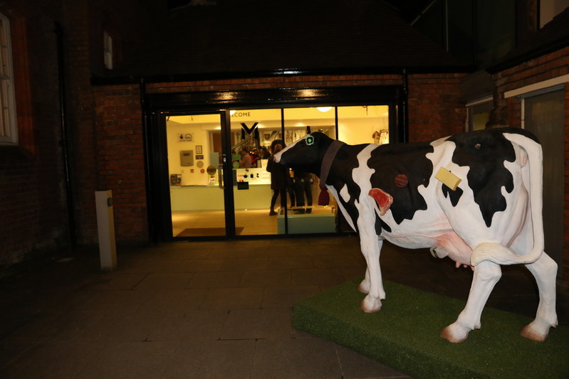 The Sensory Cow at a MERL Late