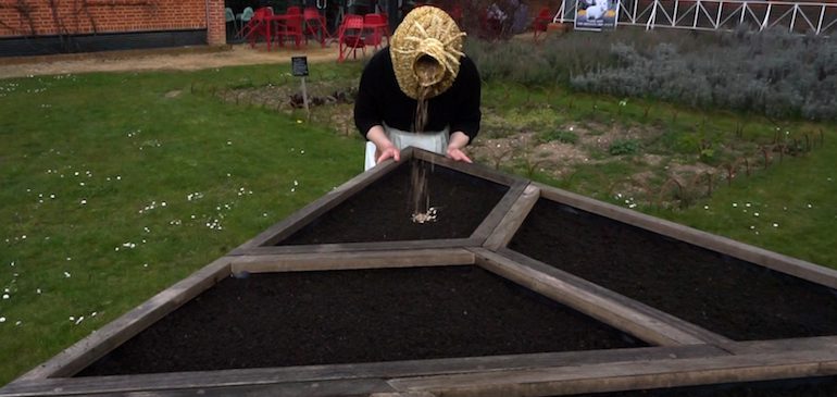 Planting in th MERL garden, part of Commons