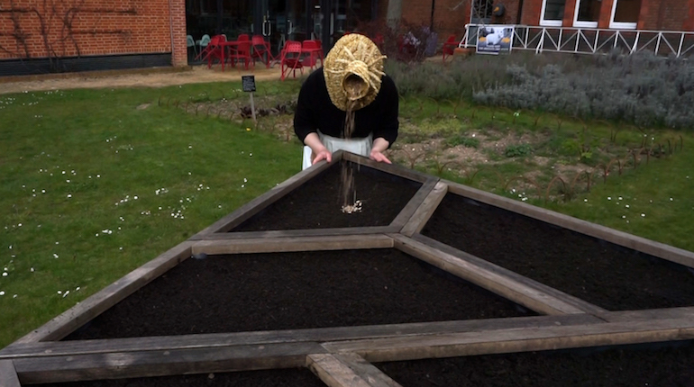 Planting in th MERL garden, part of Commons