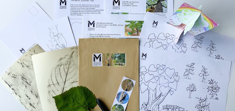 Tree activity pack