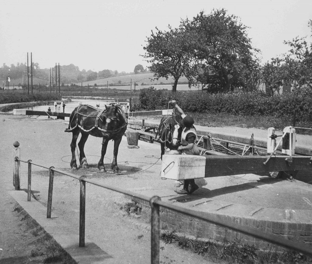 A man with two horses standing on a canal lock.