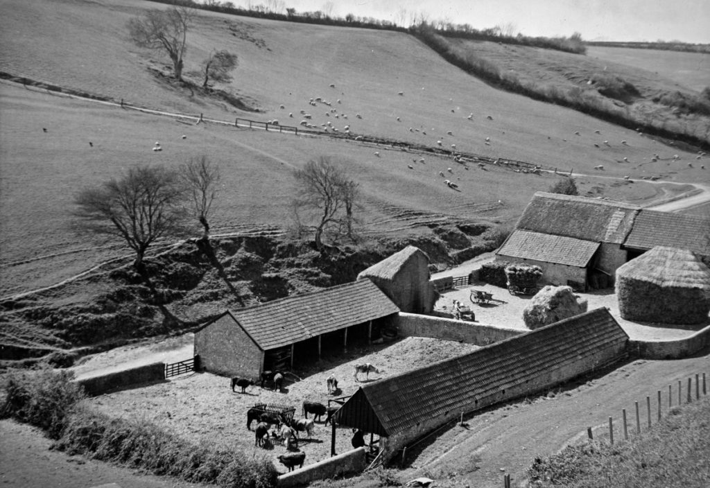 The challenges of terminology become even more complex when researching histories of those who lived on the farm. (MERL P DX311 File 37/8)