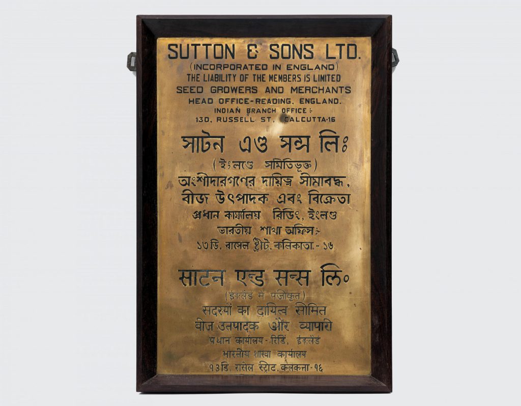 In the nineteenth century, Reading was home to several major industries. Sutton & Sons Ltd grew from a local shop into a global firm. In 1912 they established an India branch in Russell Street, Calcutta, from which they developed and grew seeds for both the UK and the Indian markets. The diversity and complexity of the Indian markets are reflected in the need for three languages—English, Hindi, and Bengali—on the company sign. (MERL MERL 2019/50)