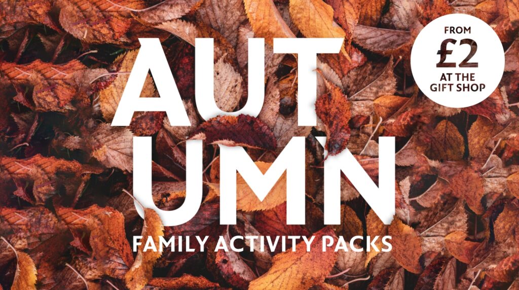 Picture of autumn leaves used to promote the Autumn Family Activity Packs