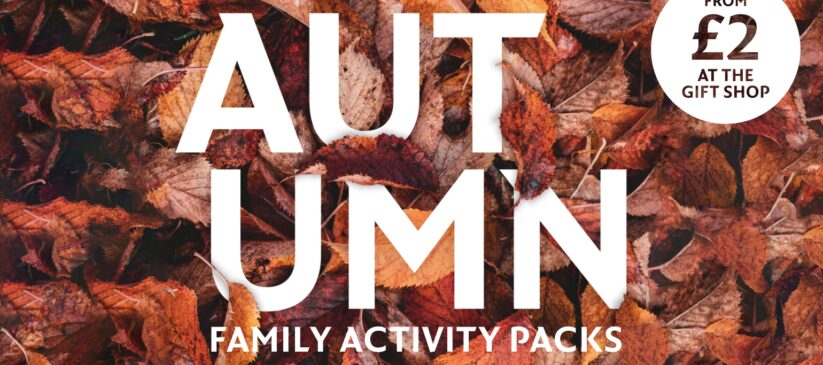 Picture of autumn leaves used to promote the Autumn Family Activity Packs