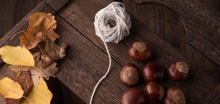 Conkers and string sitting on dark wooden apple box